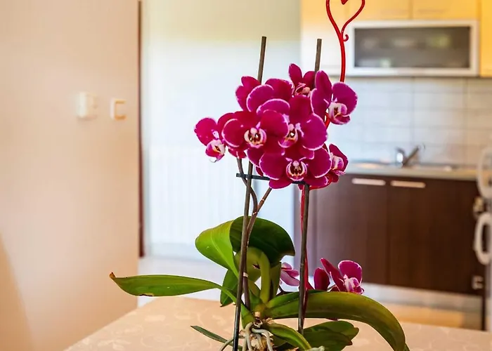 House Simoni With Pool, Zadar County Prázdninový dům *